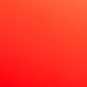 Meet your Posher, Genesis